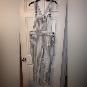 Judy Blue striped overalls